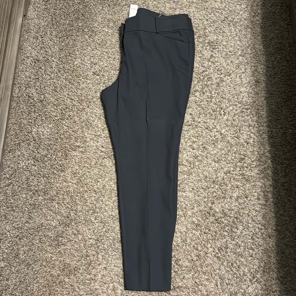 NWT Loft Marisa Skinny Pant sz 18